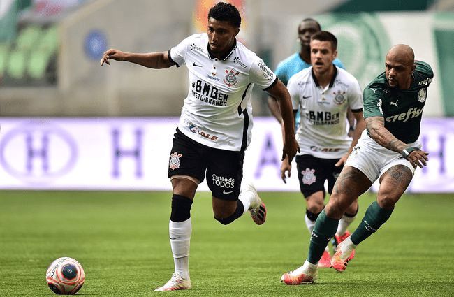 本土球员的 本土球员的